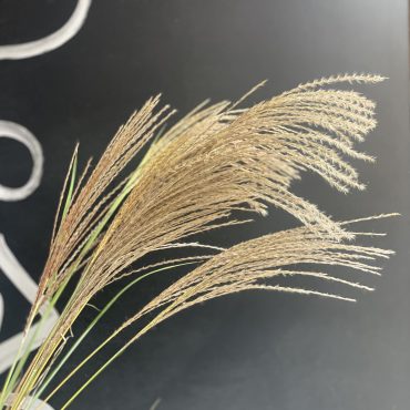 |「平松花店」　（広島県広島市安佐南区の花屋）のブログ